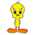 Titi